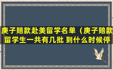 庚子赔款赴美留学名单（庚子赔款留学生一共有几批 到什么时候停止了）